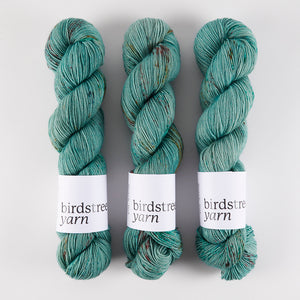 Birdstreet Yarn BIRDSTREET BFL - BEACH HUT BFL Wool Blue Faced Leicester Nylon Fingering turquoise Yarn