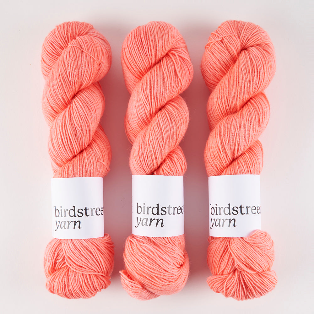 BIRDSTREET BFL - DUDE!