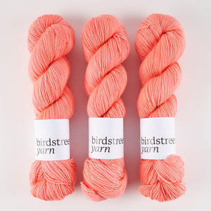 Birdstreet Yarn BIRDSTREET BFL - DUDE! BFL Wool Blue Faced Leicester Nylon Fingering coral Yarn