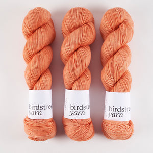 Birdstreet Yarn BIRDSTREET BFL - GERBERA BFL Wool Blue Faced Leicester Nylon Fingering coral Yarn