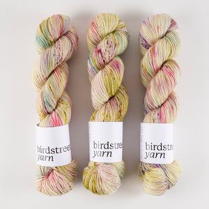 Birdstreet Yarn BIRDSTREET BFL - LAST NIGHT'S SOIRÉE BFL Wool Blue Faced Leicester Nylon Fingering multicolour Yarn