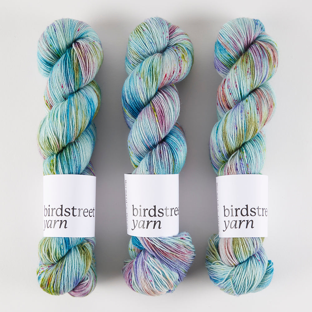 Birdstreet Yarn BIRDSTREET BFL - MERMAID'S PURSE BFL Wool Blue Faced Leicester Nylon Fingering multicolour blue Yarn
