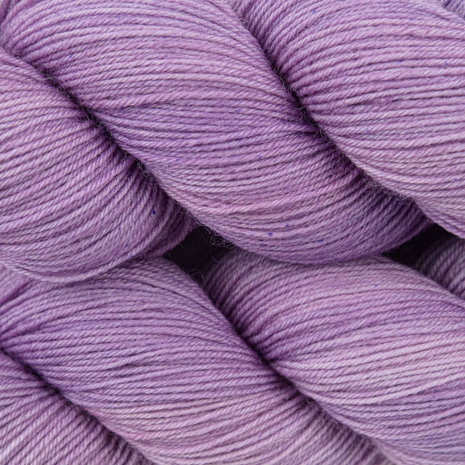 Olivia BFL - Provence