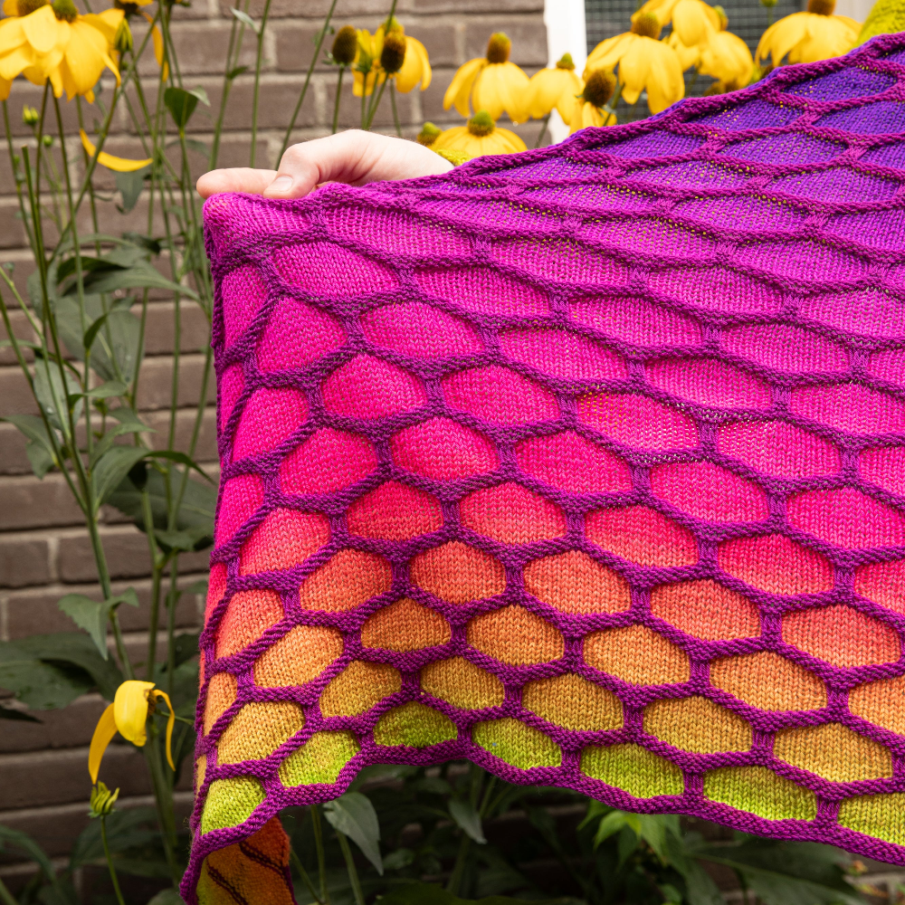 BIG HONEYCOMBS - IZABELLA'S FLOWERS