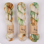 Dark Omen Yarn MERINO SOCK - PARAGON Merino wool Nylon Fingering multicolour cream green Yarn