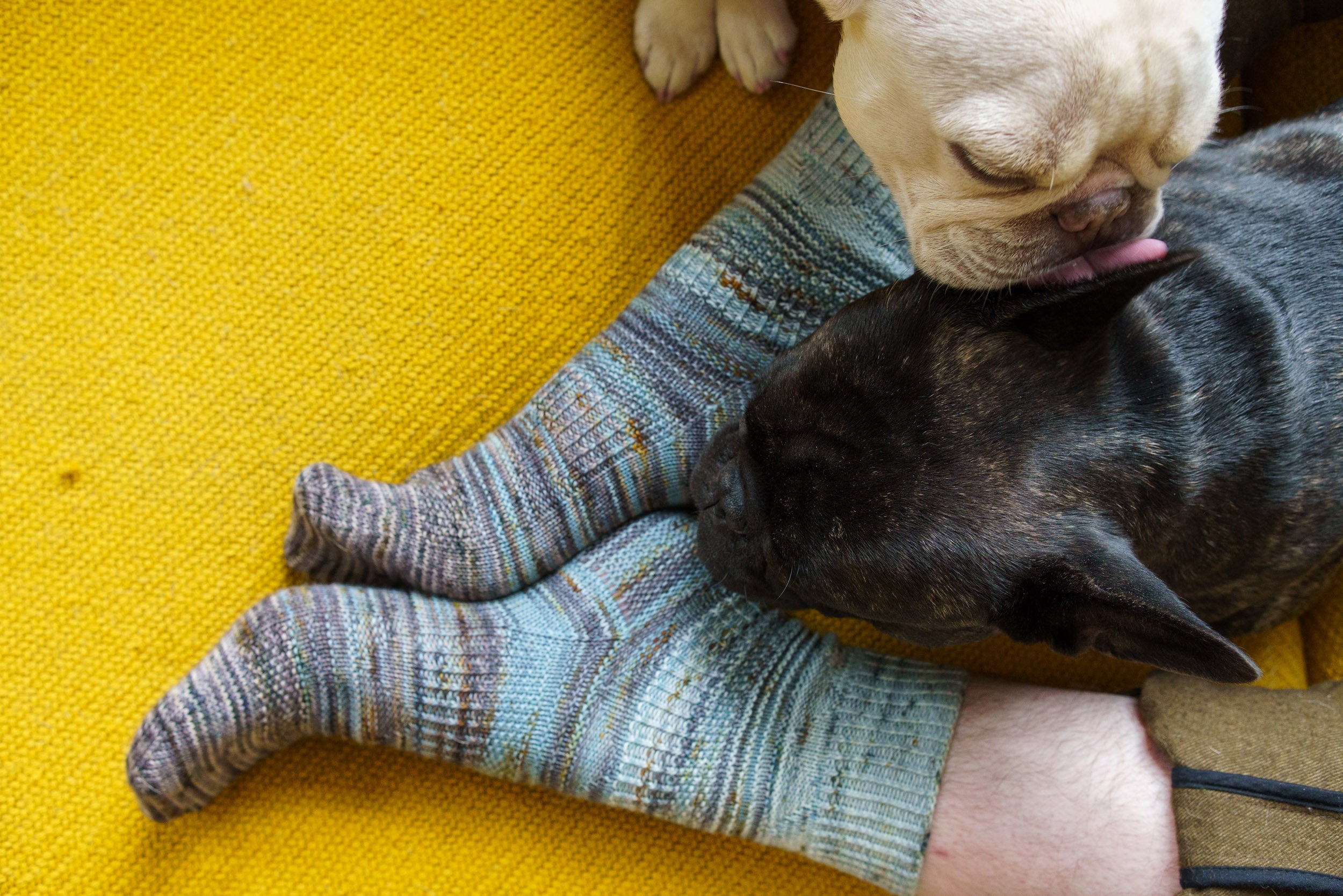 PIERRE SOCKS PATTERN