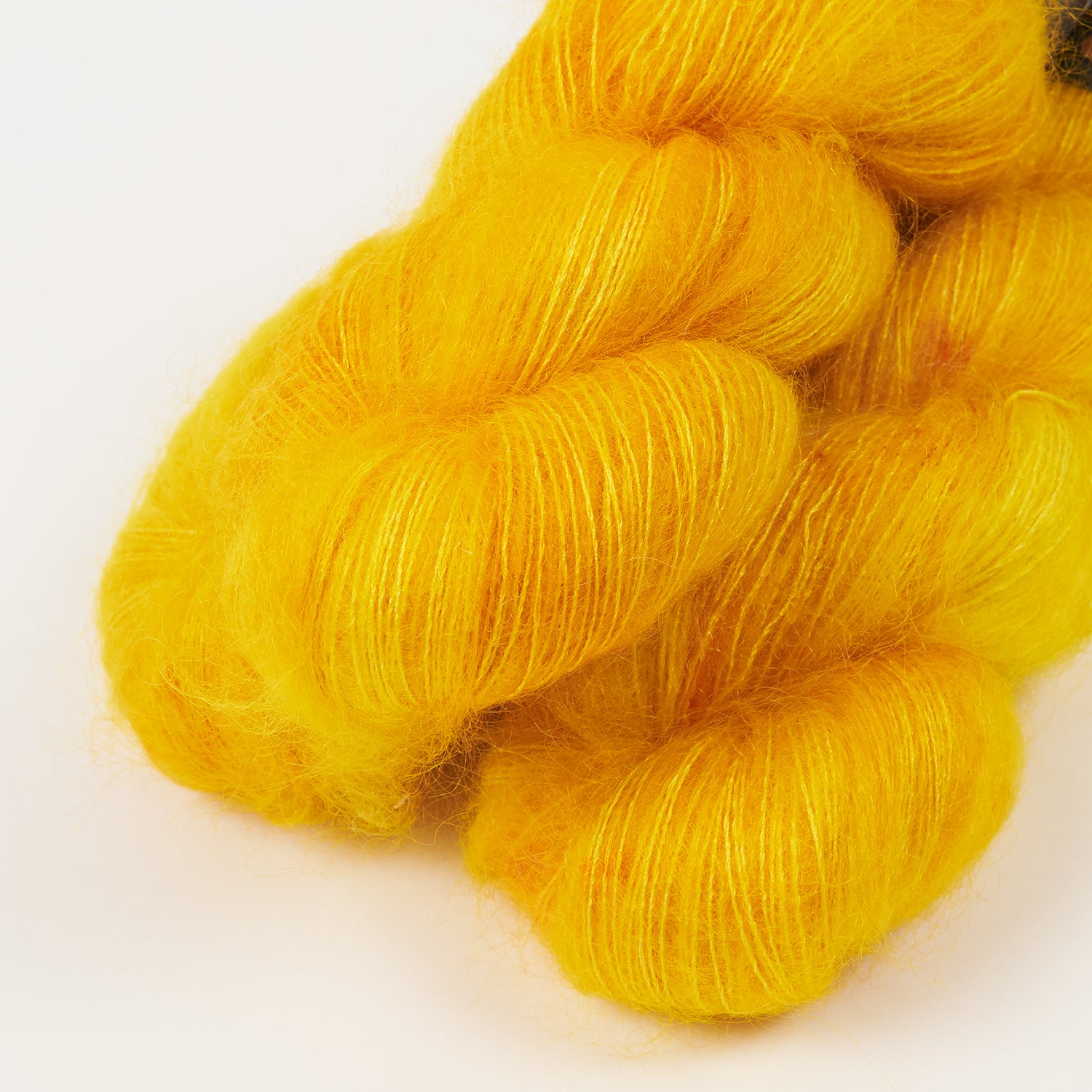 MOE - ARNICA
