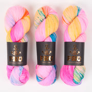 Punk Rock Unicorn SOUL - STEVIE Merino wool Nylon Fingering  Sock multicolour Yarn