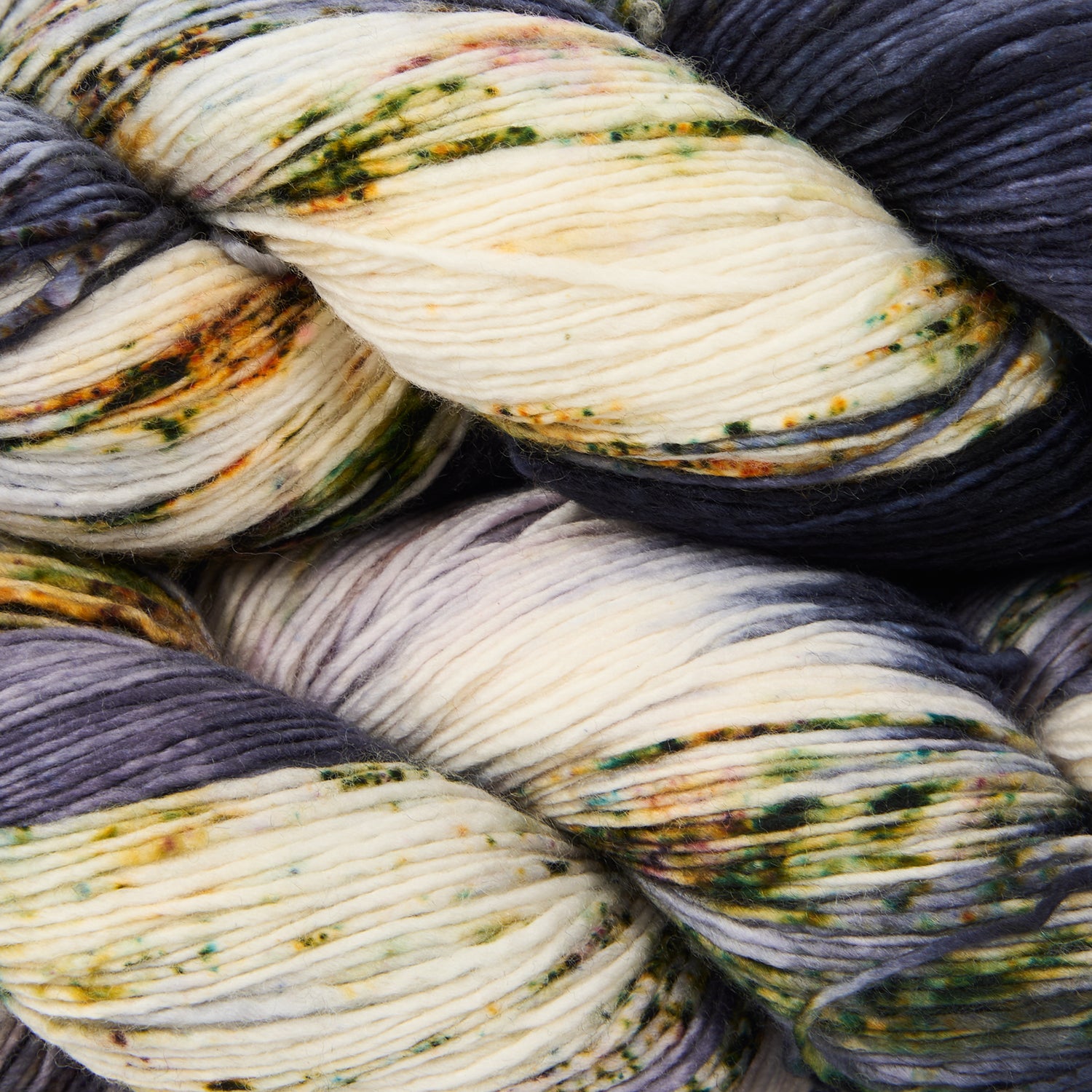DASHING SASSY - MUSSEL