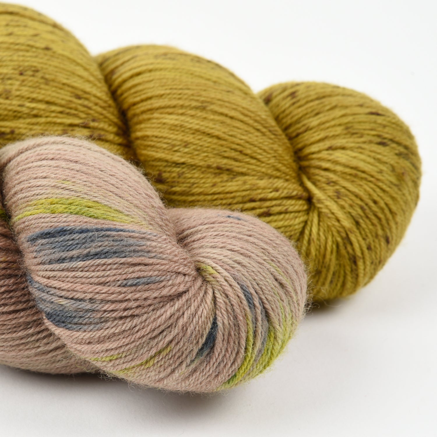 RIKYU GOES TO MOOSWALD