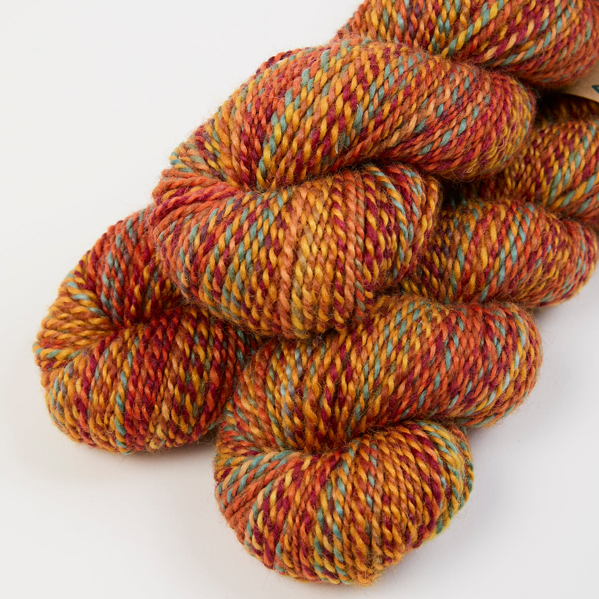 CHIMERA DK - PUMPKIN