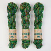 RiverKnits CHIMERA DK - RAINFOREST Blue Faced Leicester DK green multicolor Yarn