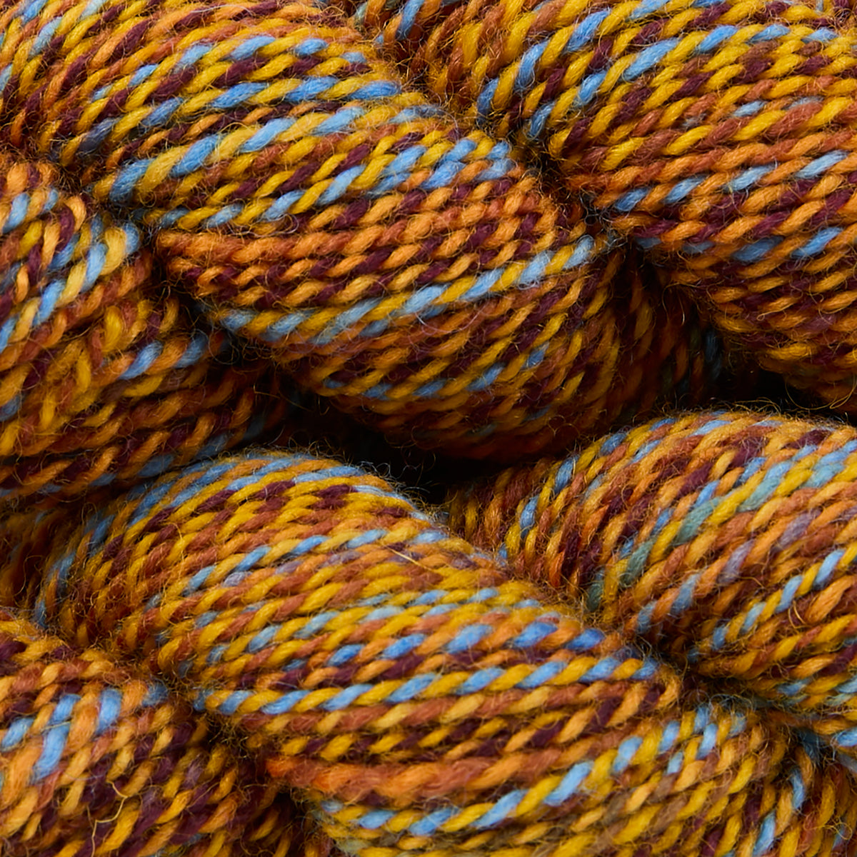 CHIMERA DK - SUNFLOWER