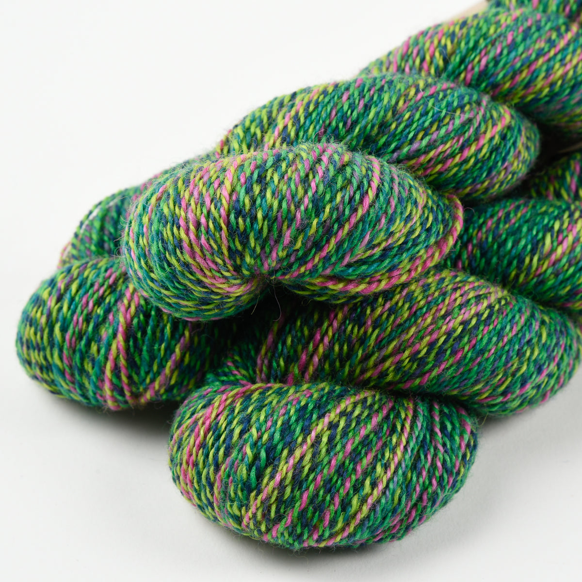 CHIMERA - RAINFOREST