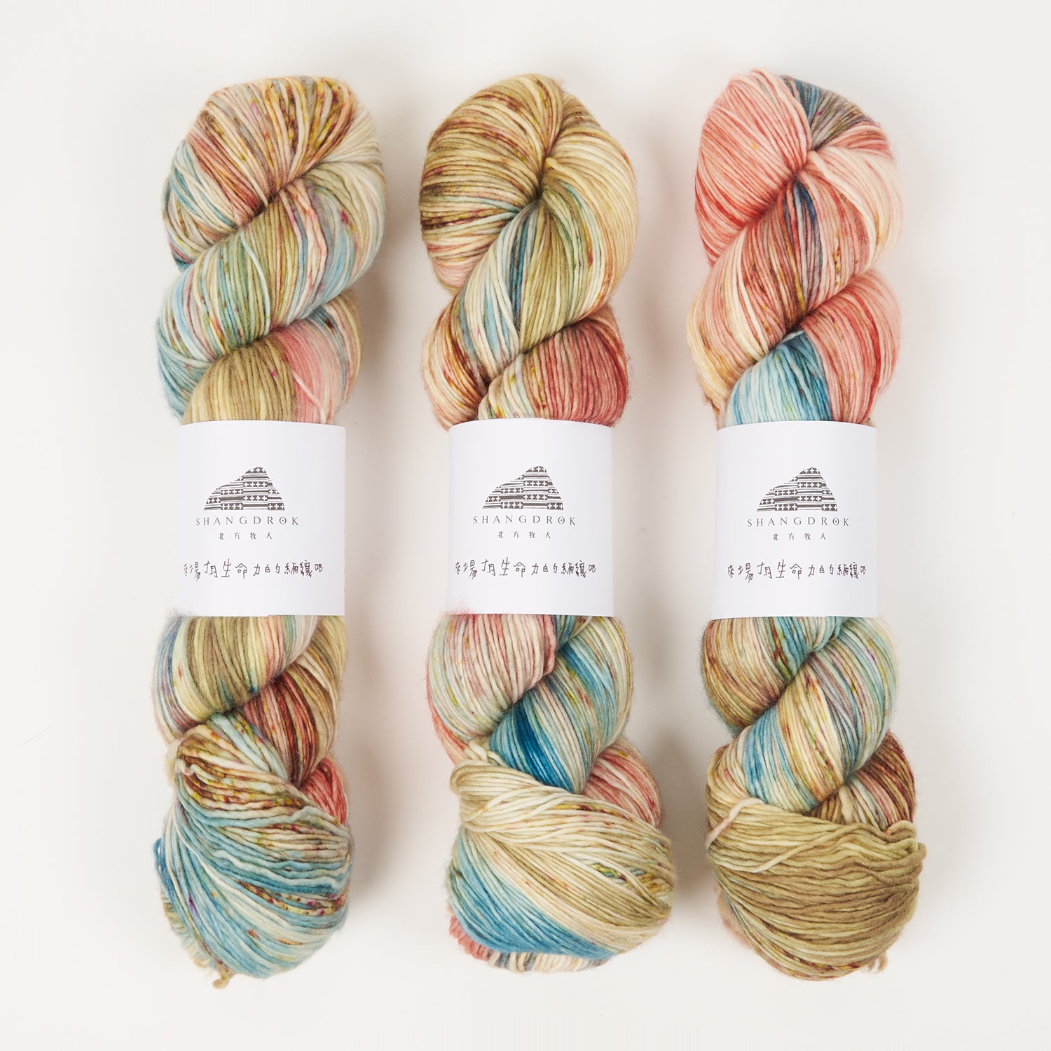 Shangdrok SINGLE MERINO - MUSHROOM PICKING IN THE WOODS Merino wool Fingering rainbow Yarn