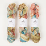 Shangdrok SINGLE MERINO - MUSHROOM PICKING IN THE WOODS Merino wool Fingering rainbow Yarn