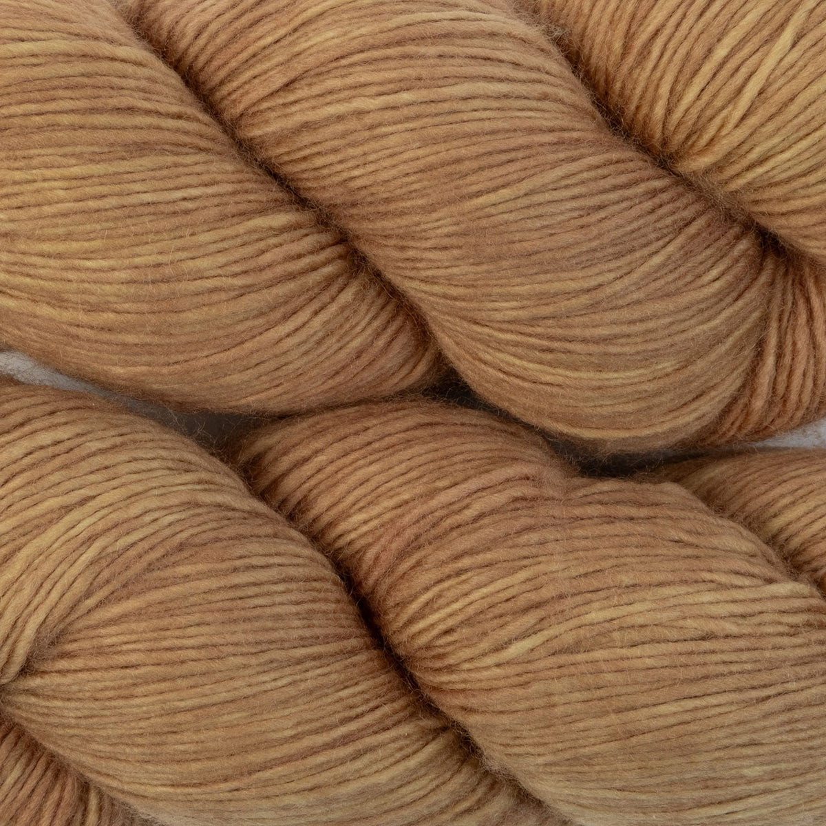 SINGLE MERINO - 3-YEAR-OLD SUN DRIED RADISH