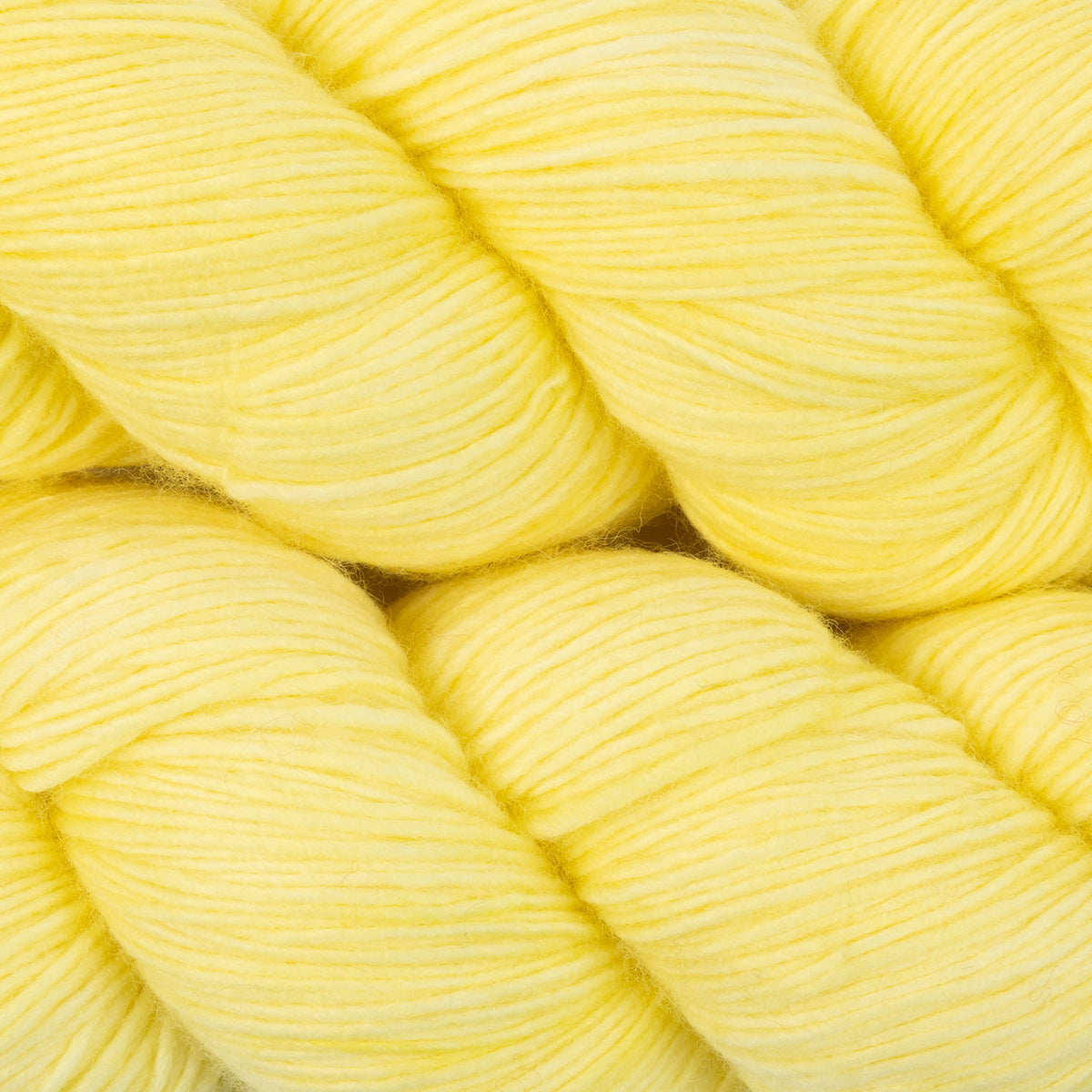 SINGLE MERINO - BEACH HIBISCUS