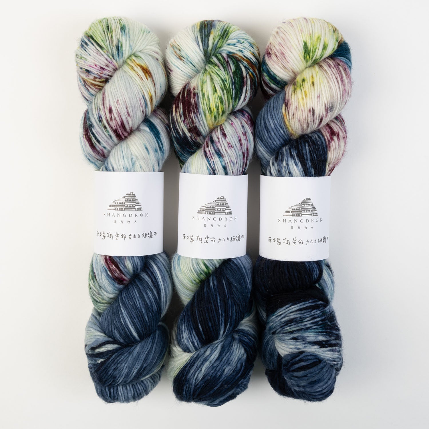 Shangdrok SINGLE MERINO - WALKING LIFE Merino wool Fingering multicolour blue Yarn