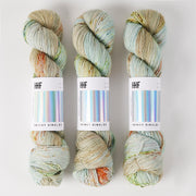 Hedgehog Fibres SKINNY SINGLES - SEA GARDEN Merino wool Fingering green Yarn