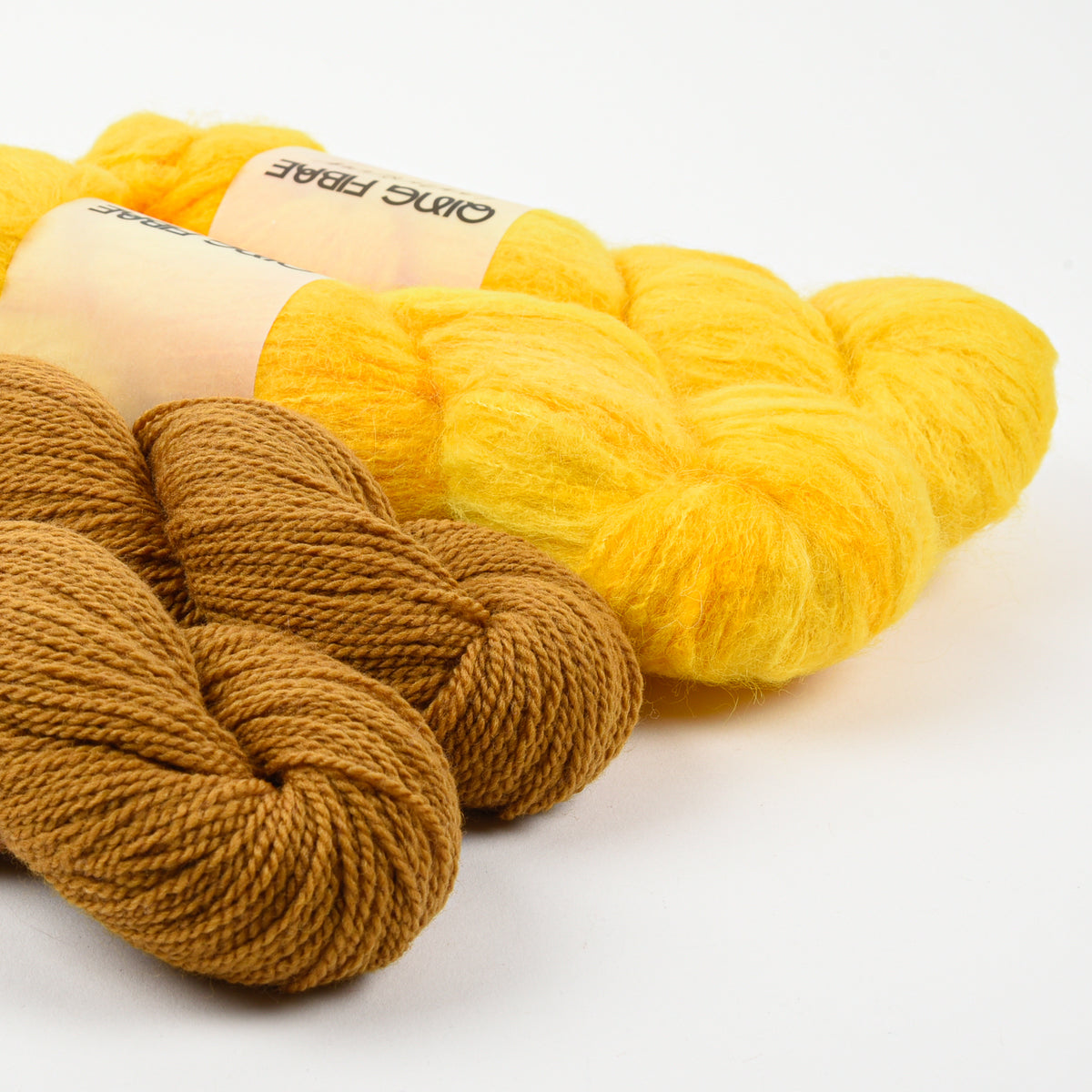 SLEEPING IN THE SUNSHINE