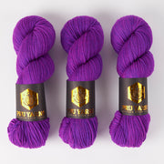 Punk Rock Unicorn SOUL DK - CLEMATIS Merino wool Nylon DK Sock purple Yarn
