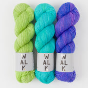 WALK Collection SPRING IRISES Merino wool Fingering Quick Kits