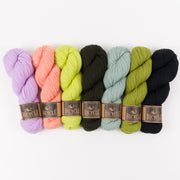 West Wool STARFISH SURPRISE Merino wool Fingering Quick Kits