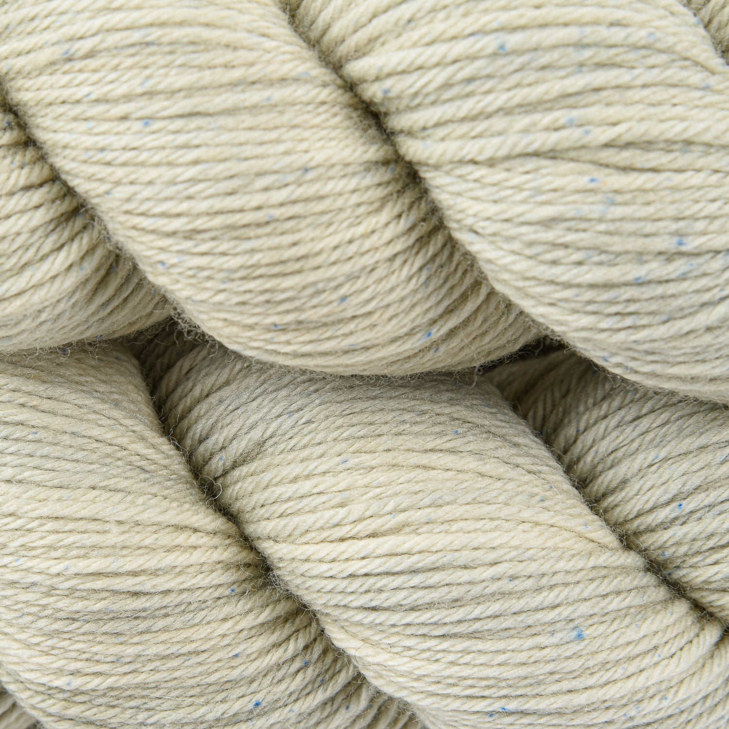 Walk Merino DK - Succulent