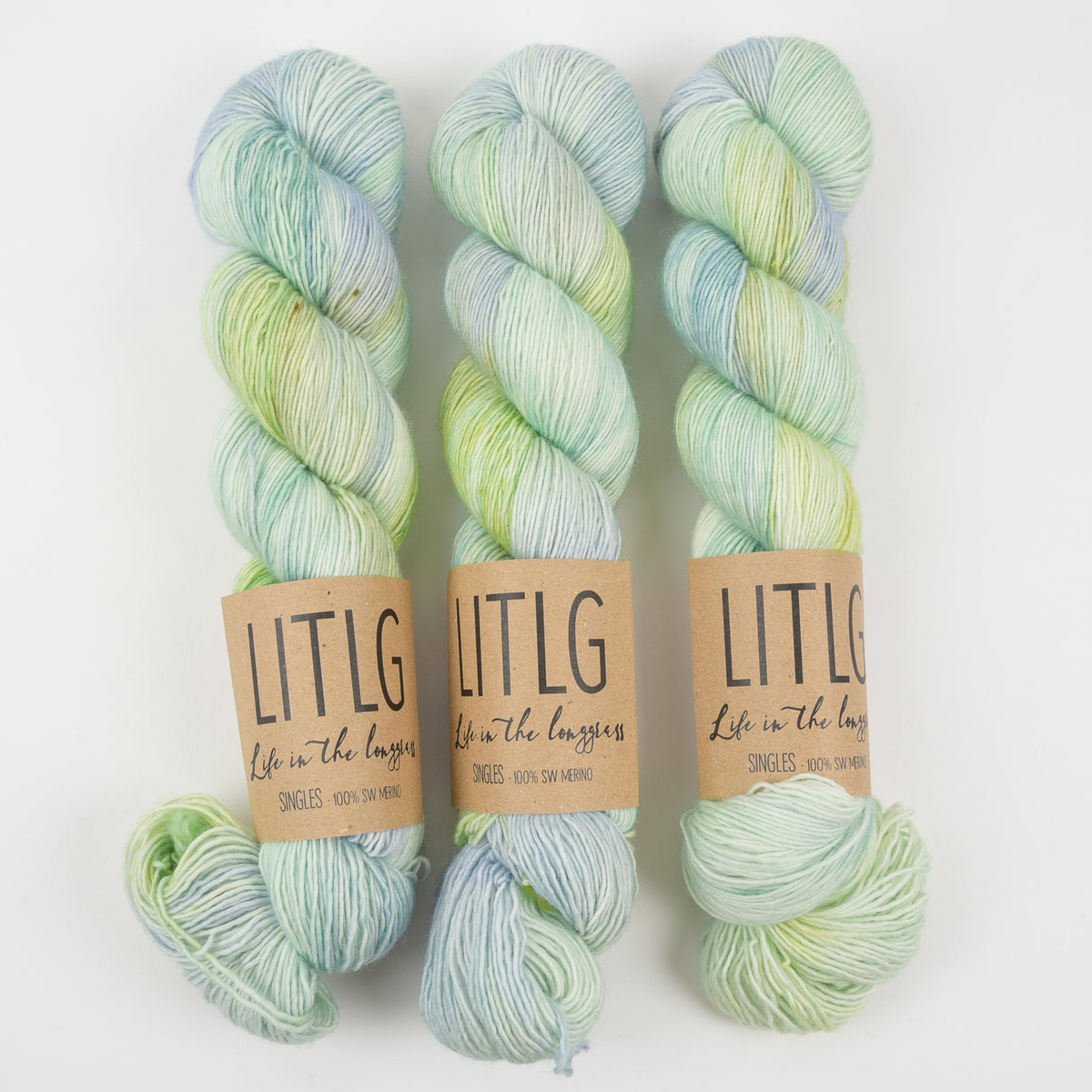 LITLG SINGLES - SUCCULENT