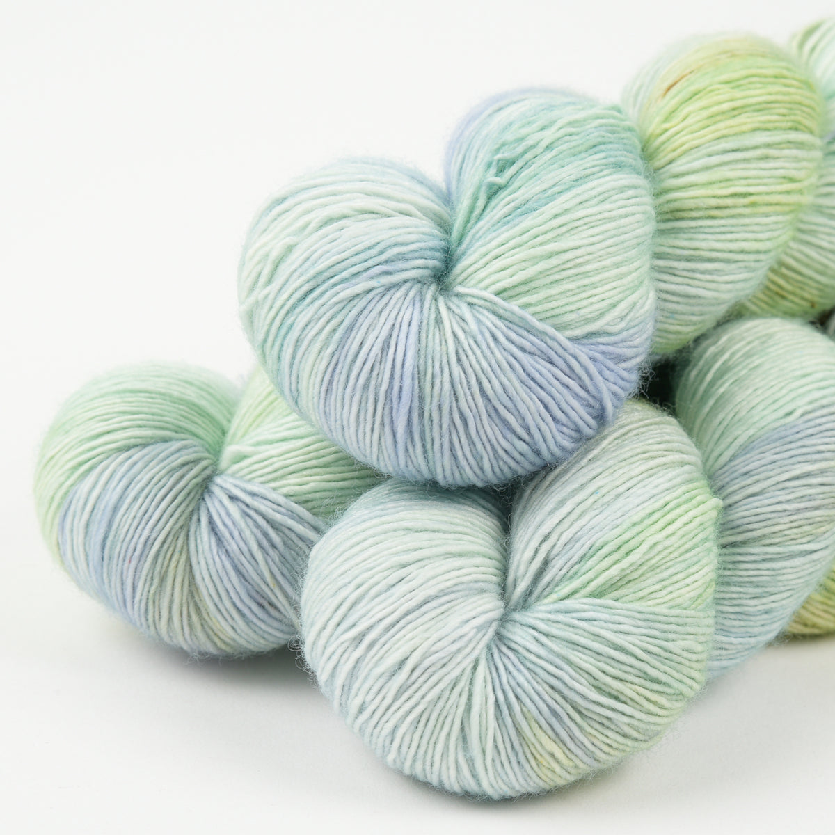 LITLG SINGLES - SUCCULENT