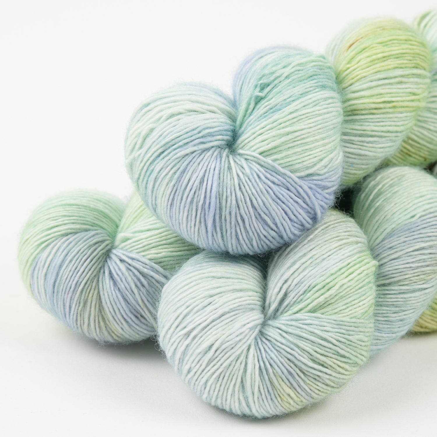 LITLG SINGLES - SUCCULENT