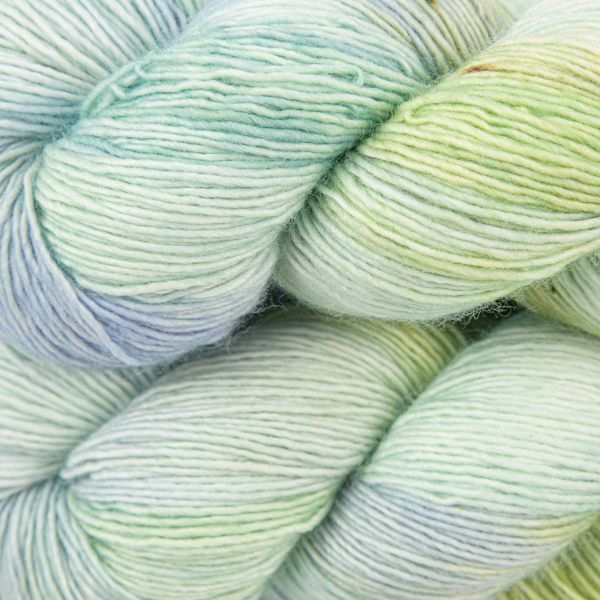 LITLG SINGLES - SUCCULENT