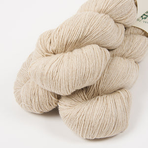 SUMMER CAMP - POLAR BEAR