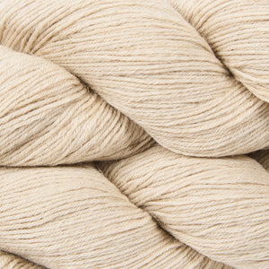 SUMMER CAMP - POLAR BEAR