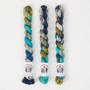 Twisted Ambitions SWEET SOCK MINI - EARTH Merino wool Nylon Fingering multicolour blue green Yarn