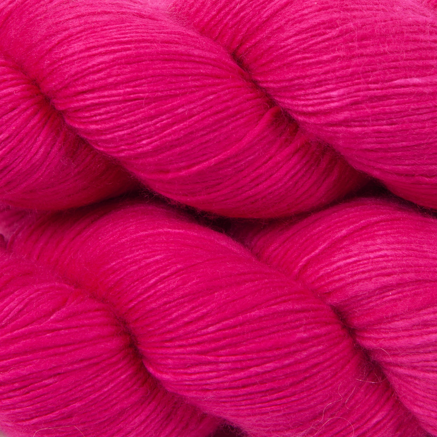 Single Merino - Seedless Dragon Fruit