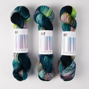 Hedgehog Fibres SKINNY SINGLES - BRINE Merino wool Fingering multicolour Yarn