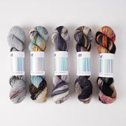 Hedgehog Fibres HHF SIDE QUEST - HAWKING WALRUS Merino wool Fingering Quick Kits