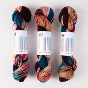 Hedgehog Fibres SKINNY SINGLES - RENAISSANCE Merino wool Fingering multicolour Yarn