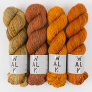 WALK Collection SQUIRELLED AWAY Merino wool Fingering Quick Kits