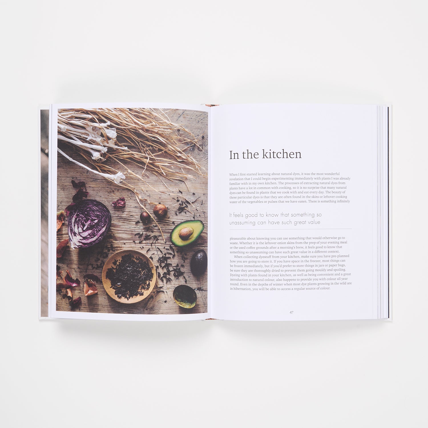 The Wild Dyer by Abigail Booth