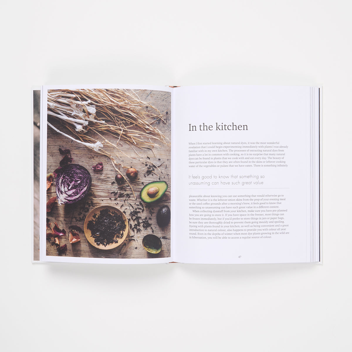 THE WILD DYER by ABIGAIL BOOTH