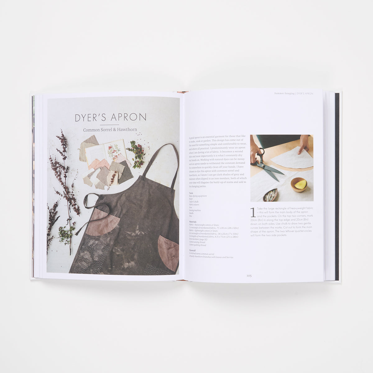 THE WILD DYER by ABIGAIL BOOTH