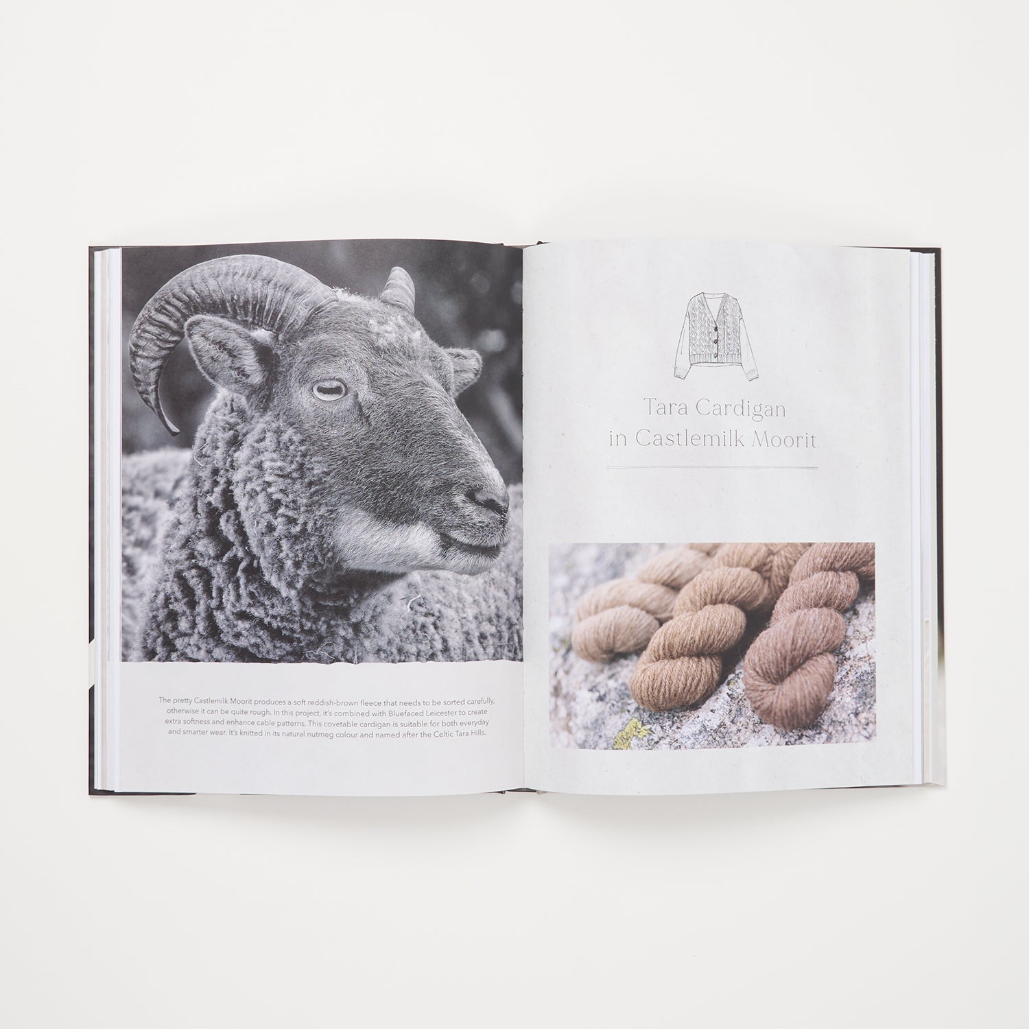 The Wonder Of Wool by Justine Lee & Jess Morency