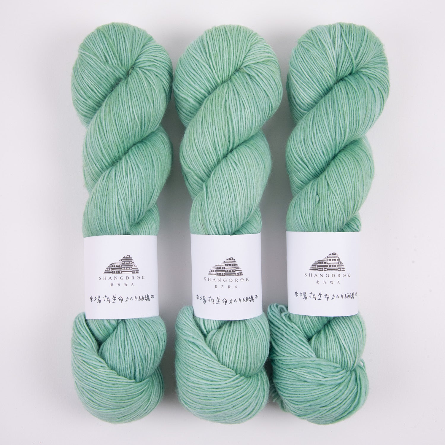 Shangdrok SINGLE MERINO - THE TODDLER AND THE SEA Merino wool Fingering turquoise green Yarn