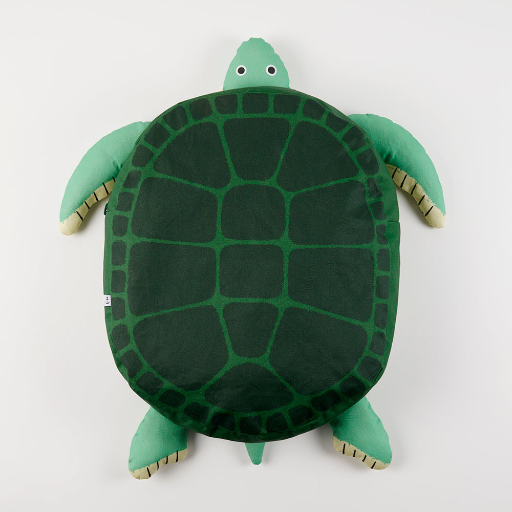 TURTLE BACKPACK