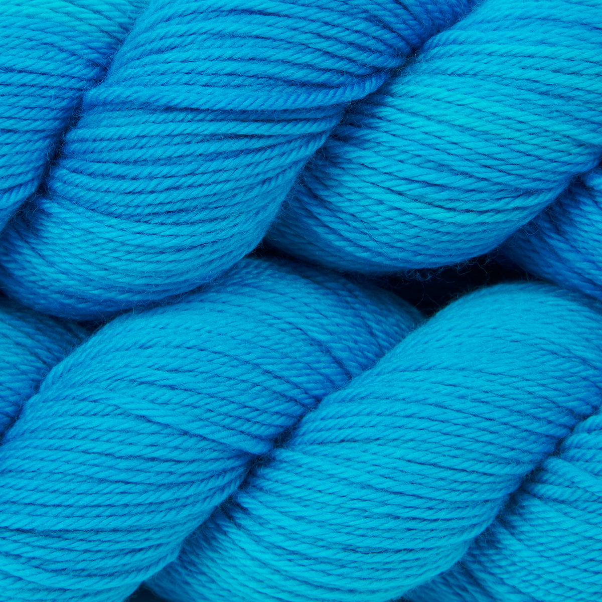 WICKED DK - EUPHORIC