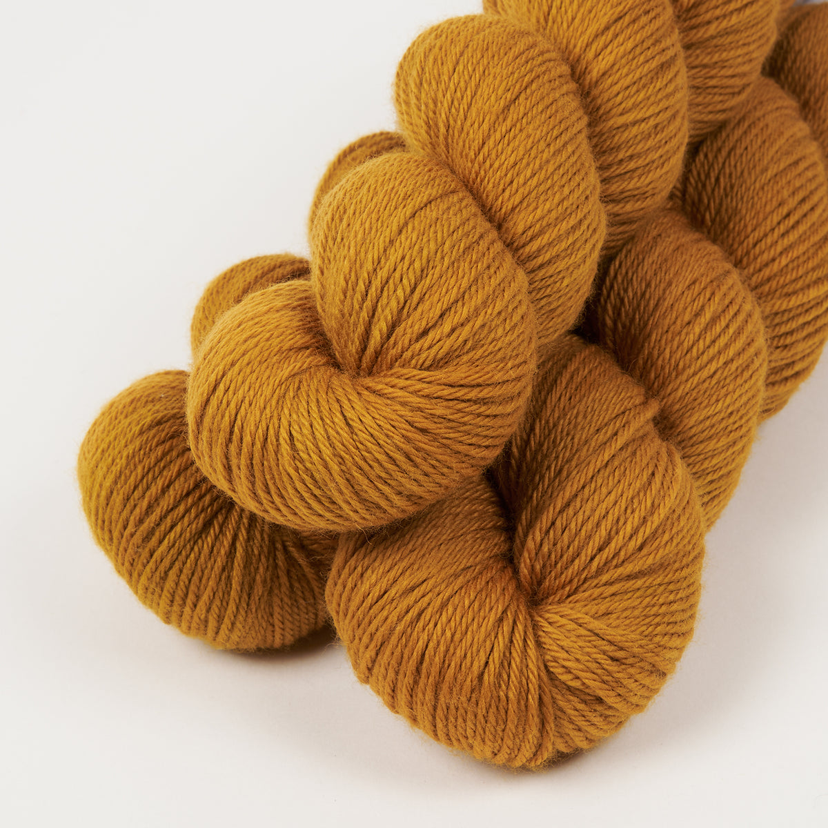 WICKED DK - FIELDS OF GOLD