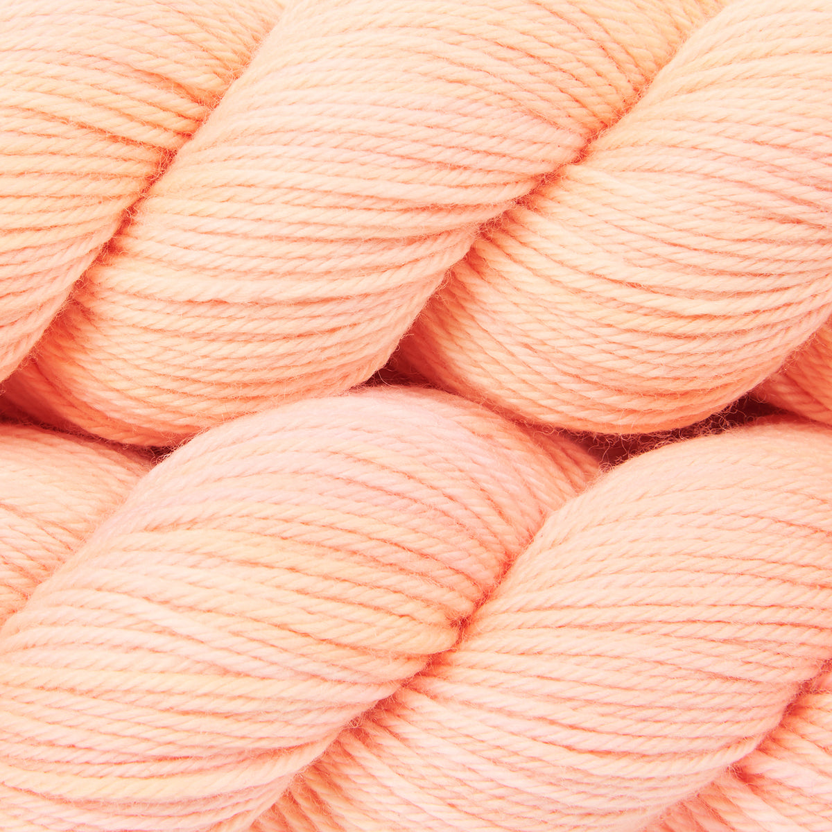 WICKED DK - FRESHLY SQUEEZED